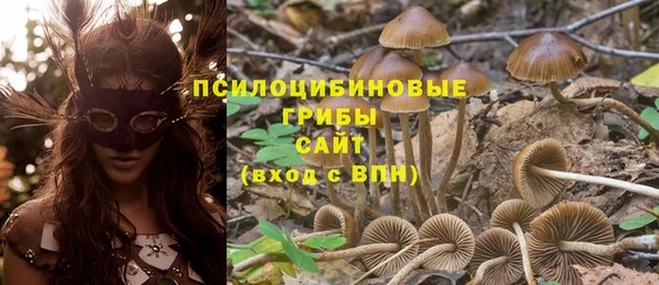 дмт Баксан