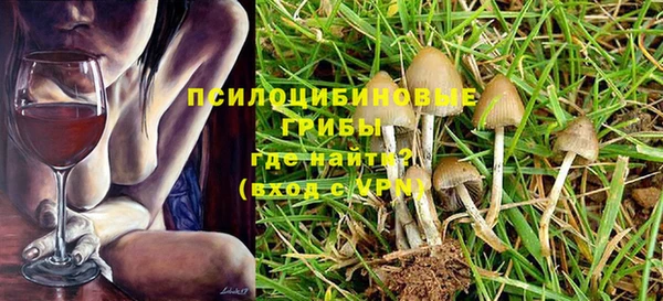 дмт Баксан
