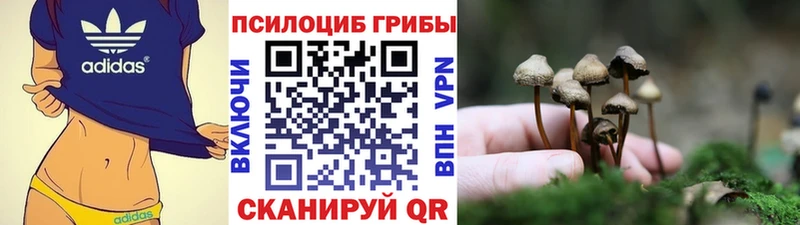 Купить закладки  Кизилюрт  Псилоцибиновые грибы мухоморы 